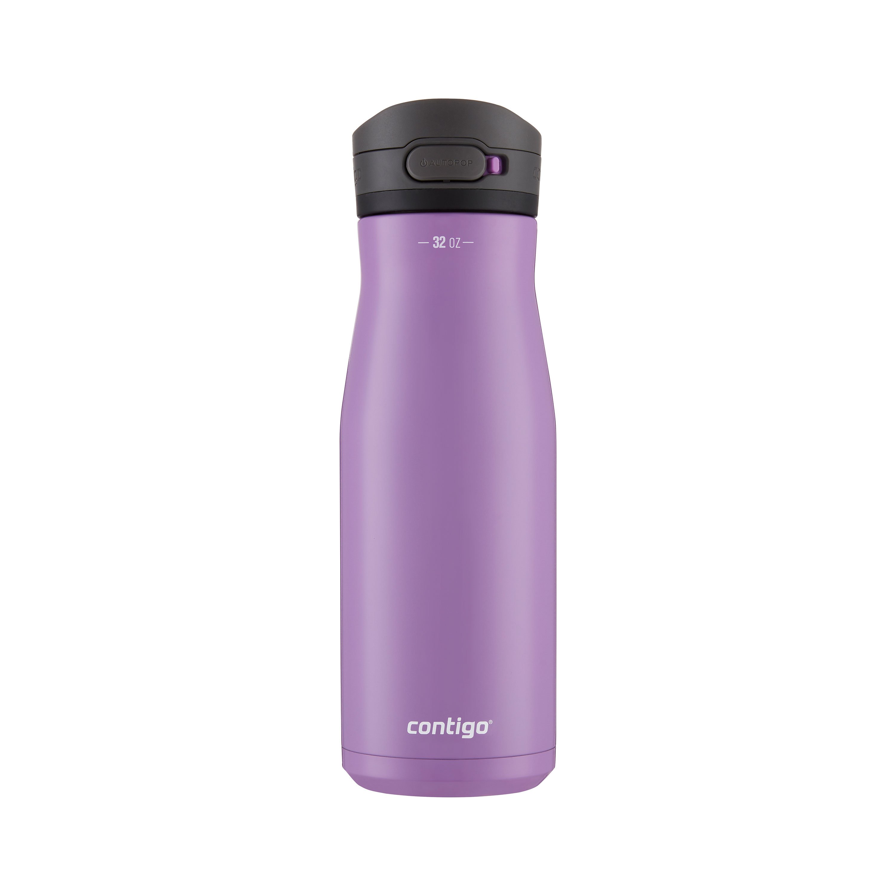 24 oz Stainless Steel Insulated Water Bottle - Purple