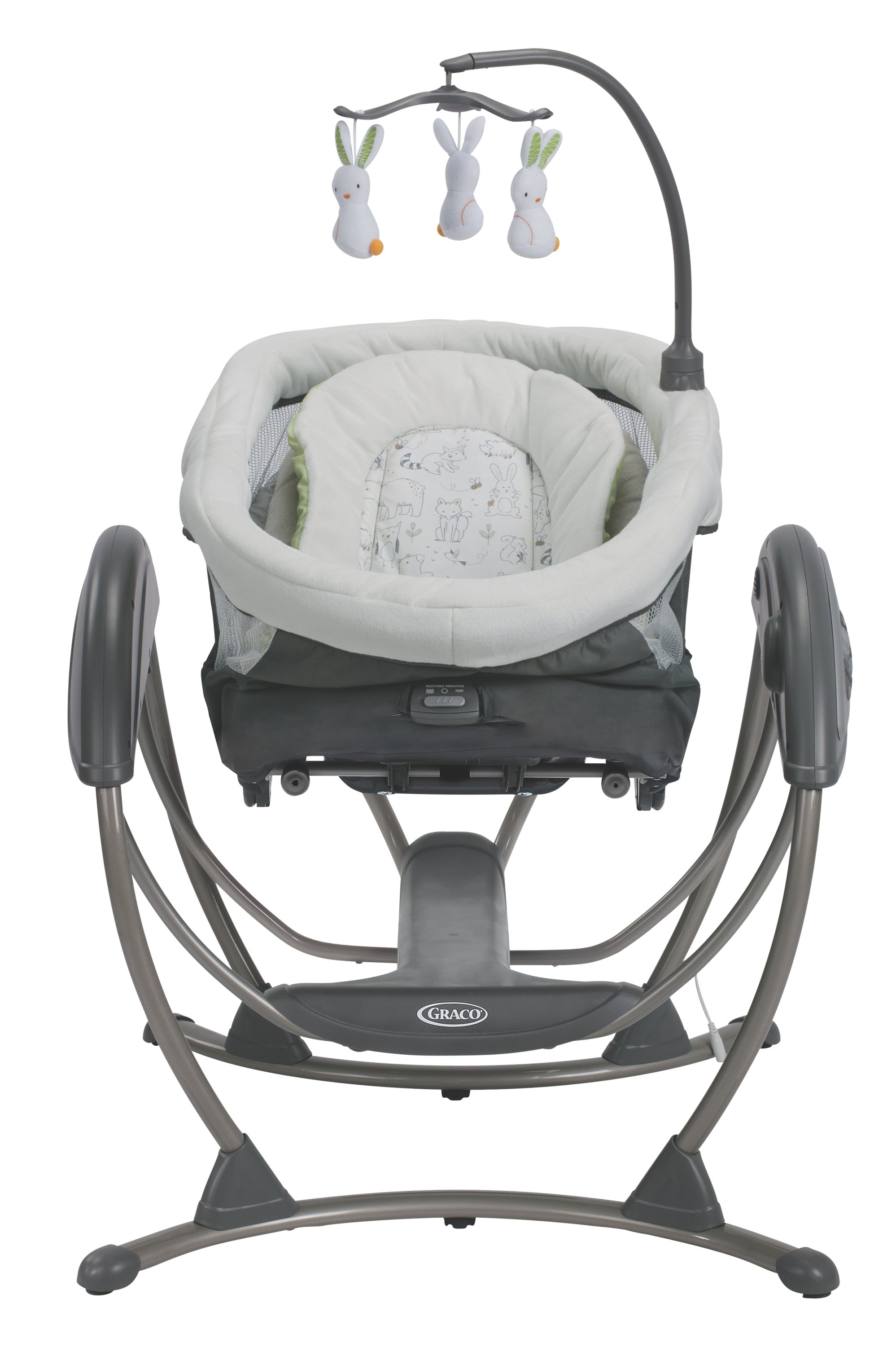 Graco - DuoGlider Gliding Swing, Rascal