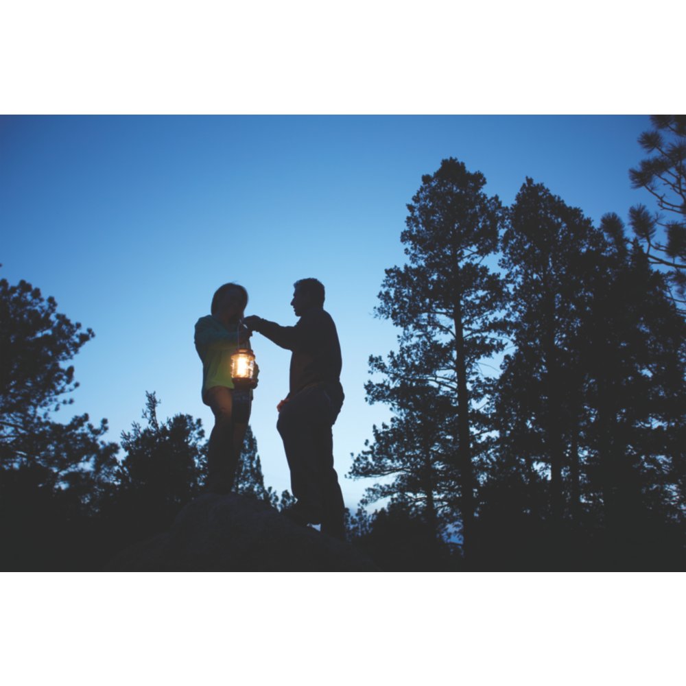 NorthStar® 1500 Lumens 1-Mantle Propane Lantern