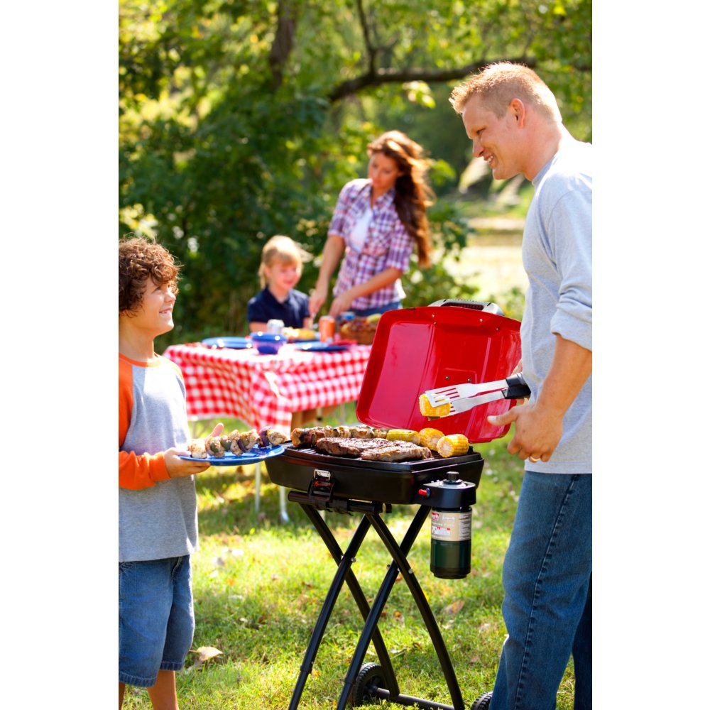 Coleman road trip shop sportster propane grill