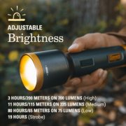 adjustable brightness image number 4