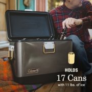 holds 17 cans with 11 pounds of ice image number 4