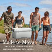 Four people with cooler that is made to move image number 3