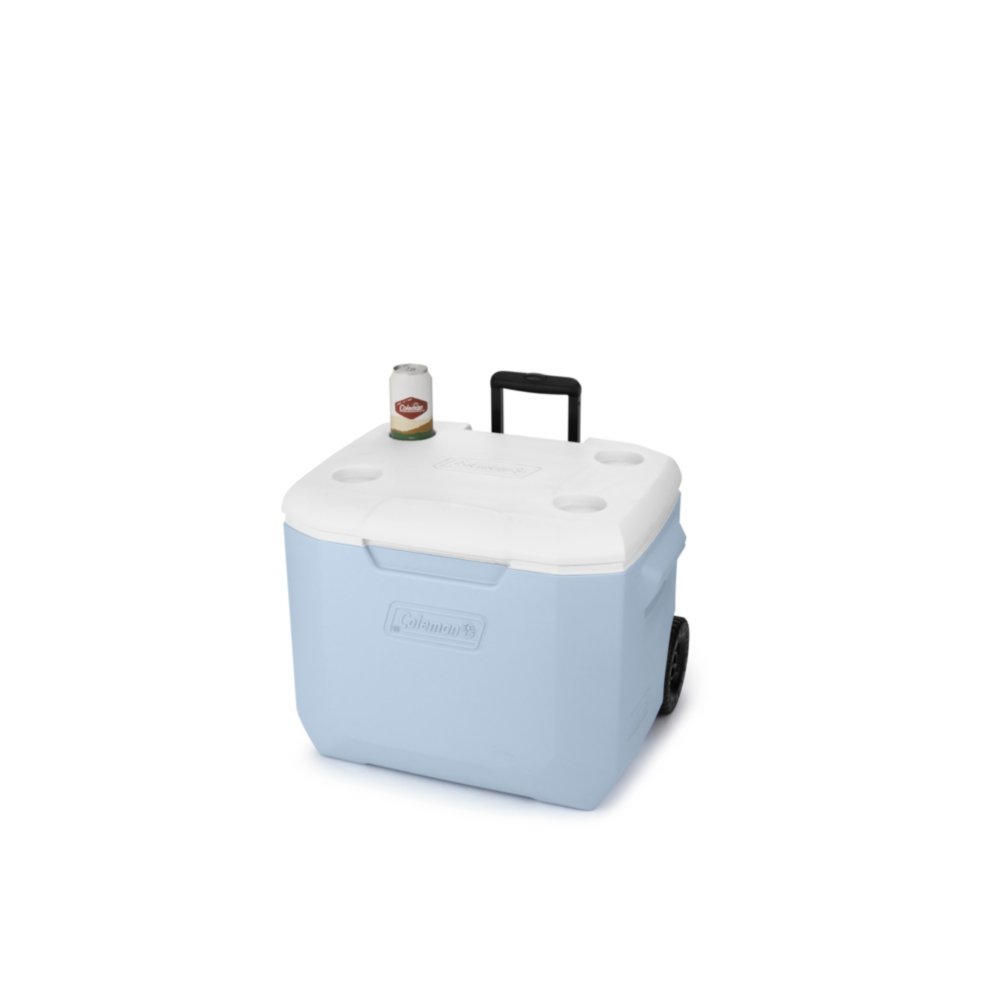 60 quart hot sale ice chest