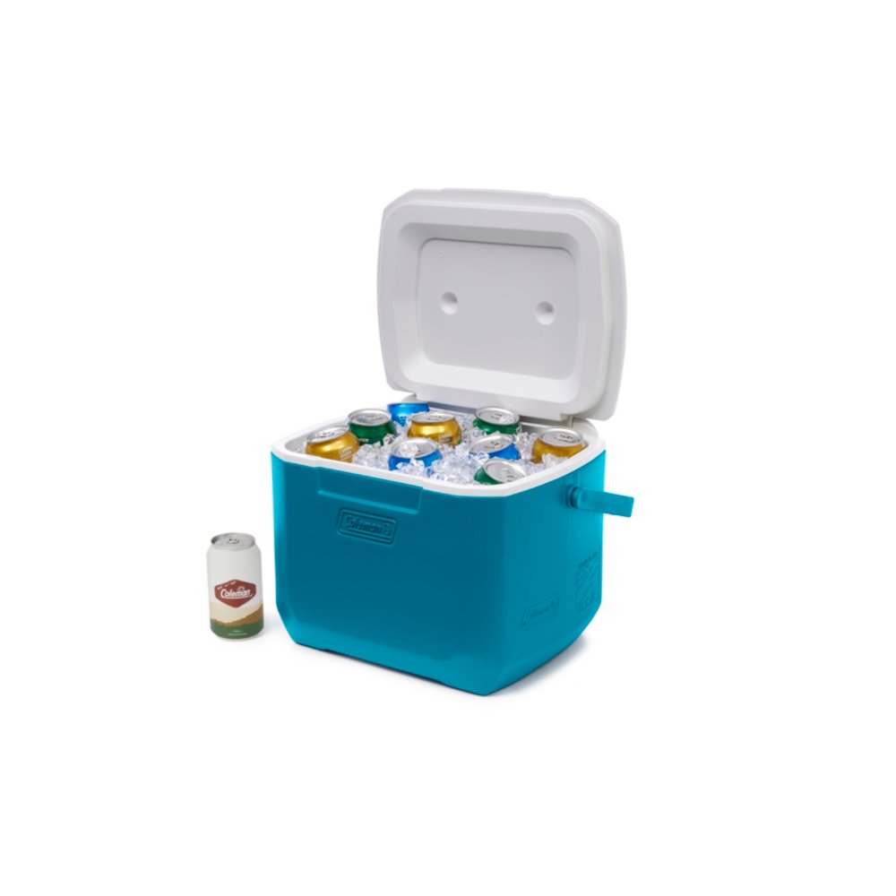 Chiller™ 16-Quart Portable Cooler