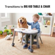 Graco best sale table2table highchair