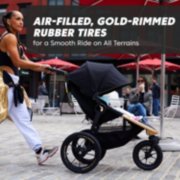 Air filled gold rimmed rubber tires on stroller pushed by Robin Arzon image number 4