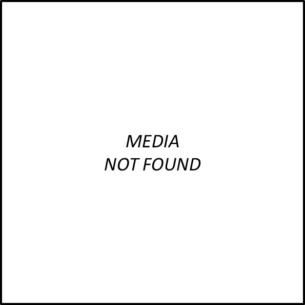 Heat Shield Shelter 3x3m Coleman AU atelieryuwa.ciao.jp