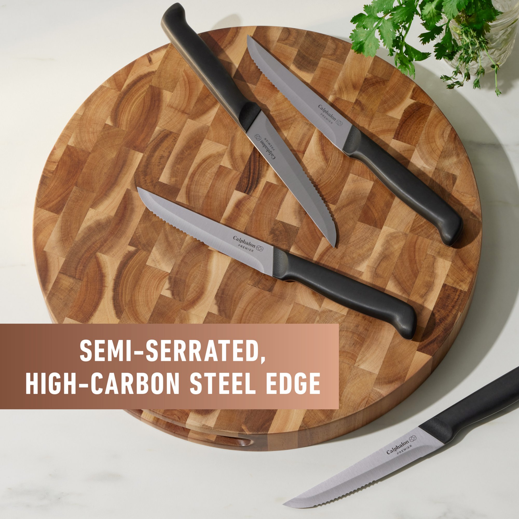 Select by Calphalon 8-Piece Steak Knife Set 