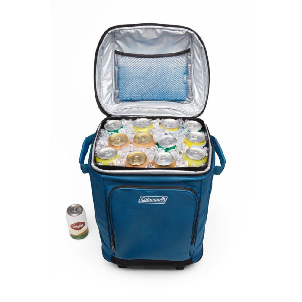 Soft cooler shop with removable liner