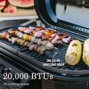 285 square inches of grilling area and up to 20 thousand btus of cooking power image number 2