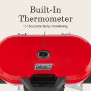 built in thermometer for accurate temperature monitoring image number 5