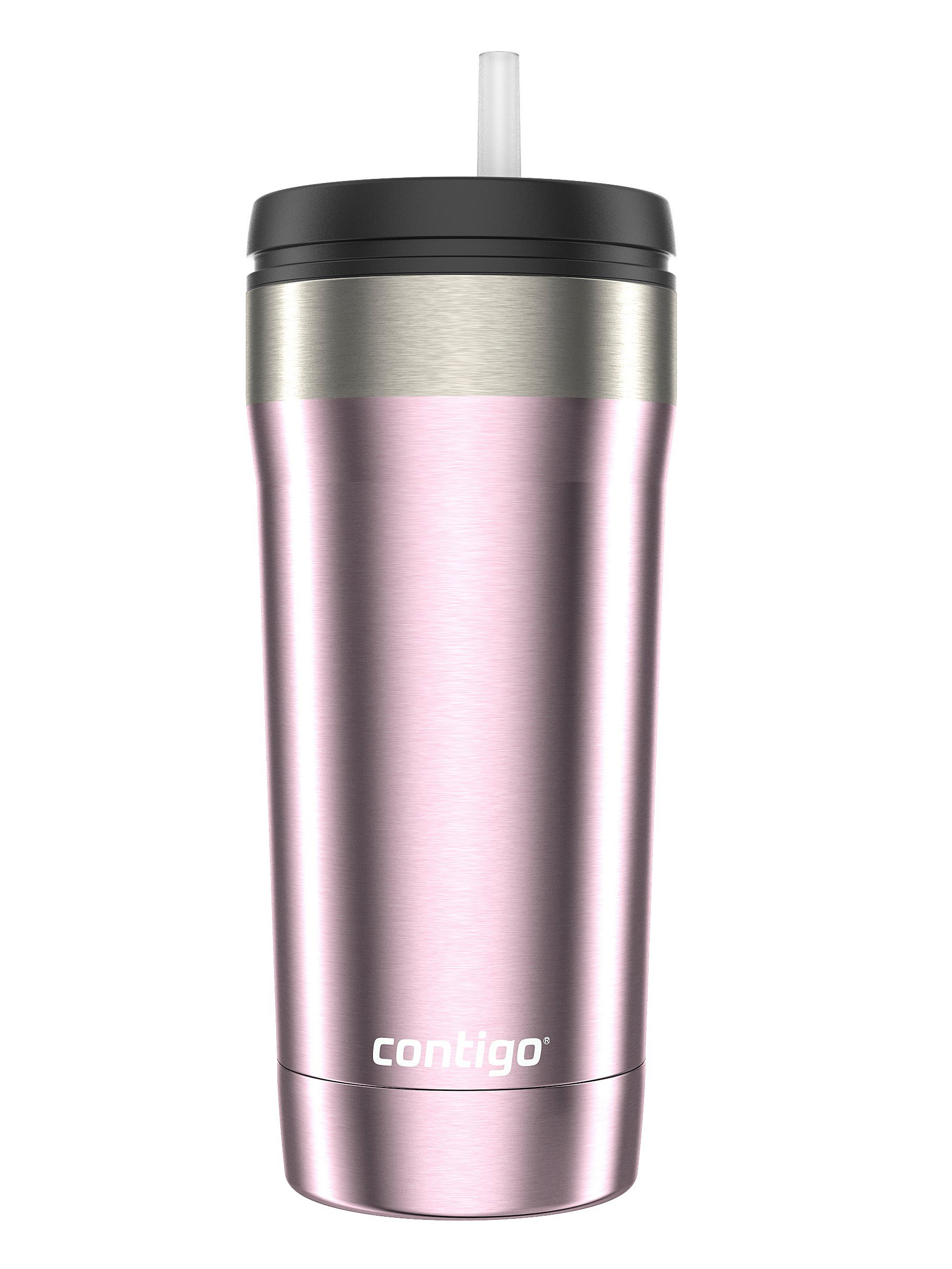 Contigo 24 Oz. Ashland Chill 2.0 Water Bottle - Dragon Fruit : Target