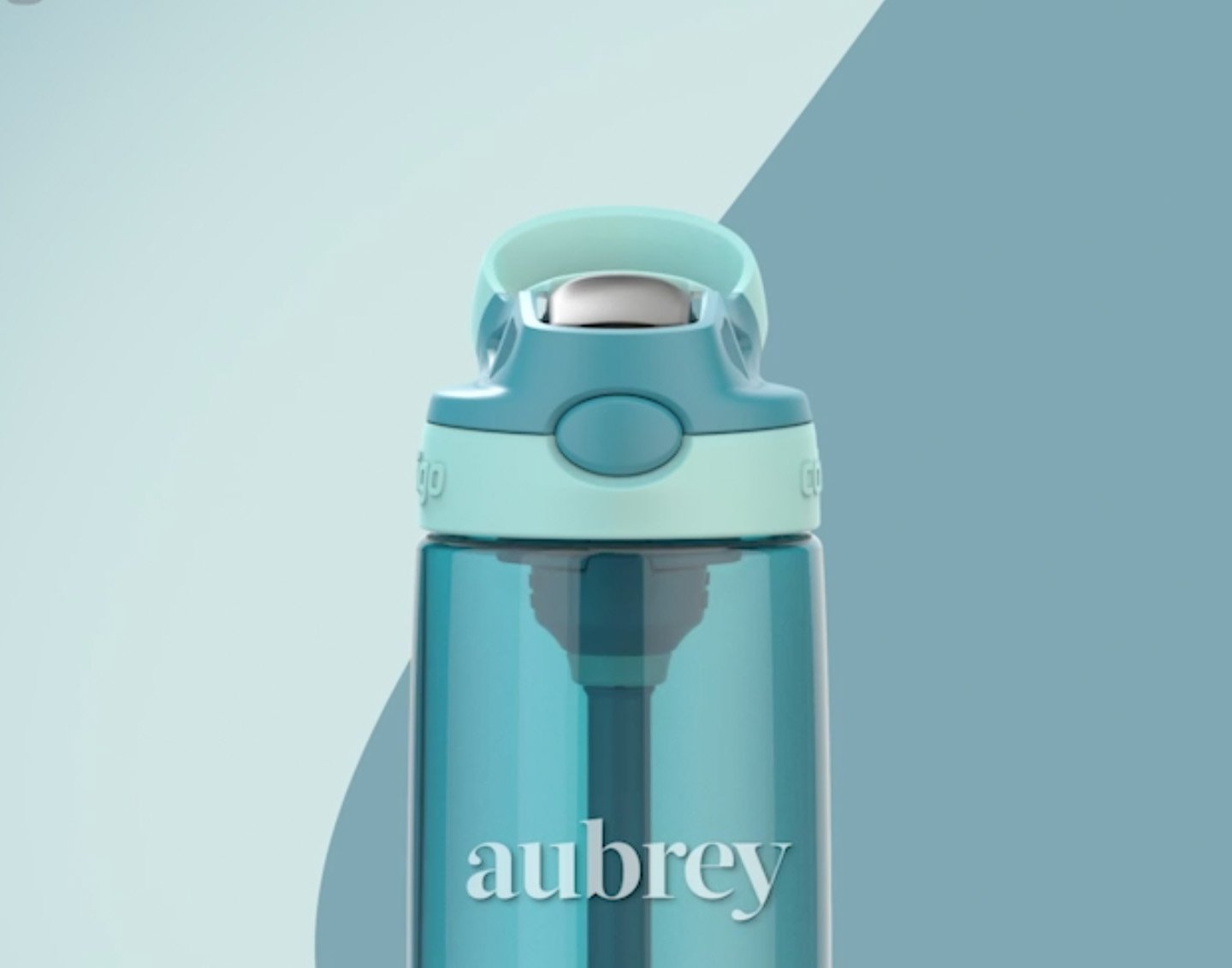 Contigo Aubrey Kids Stainless Steel Water Bottle with Spill-Proof Lid,  Cleanable