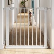 baby steps premium walk thru safety gate with dog in the background image number 5