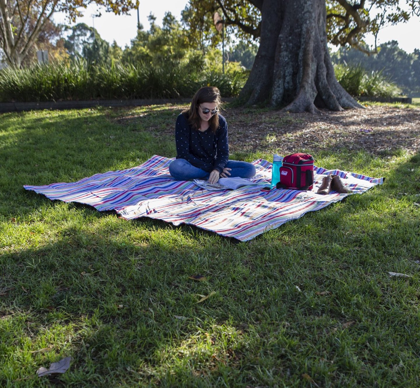 Coleman best sale picnic rug